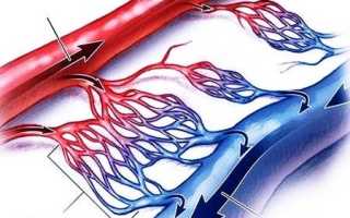 Уздг магистральнх артерий головы суть исследования, а также показания к прохождению