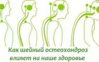Артерии головы и шеи: названия, функции и заболевания