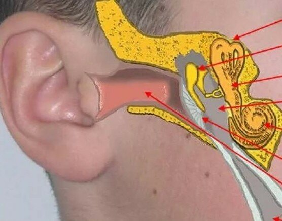болит голова шея и заложен нос