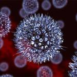 Если в организм проник вирус