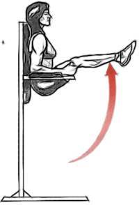 Îñíîâíûå îøèáêè è ïðàâèëà ïðè âûïîëíåíèè óïðàæíåíèé íà ìûøöû ïðåññà è êîðà. Êóáèêè, Ïðåññ, Óïðàæíåíèÿ, Òðåíèðîâêà, Ôèòíåñ, Ñïîðò, ÇÎÆ, Âèäåî, Äëèííîïîñò