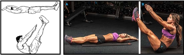 Îñíîâíûå îøèáêè è ïðàâèëà ïðè âûïîëíåíèè óïðàæíåíèé íà ìûøöû ïðåññà è êîðà. Êóáèêè, Ïðåññ, Óïðàæíåíèÿ, Òðåíèðîâêà, Ôèòíåñ, Ñïîðò, ÇÎÆ, Âèäåî, Äëèííîïîñò