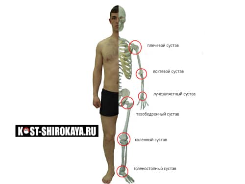 Почему болят колени,локти,плечи.Боль в суставах: что делать?