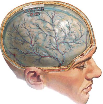болит спина при температуре 38