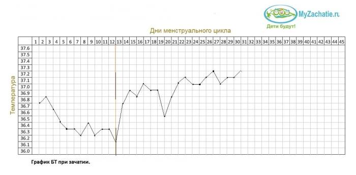 Типичный график БТ при беременности