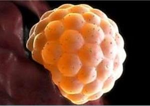 Болит голова и температура 37 признак беременности