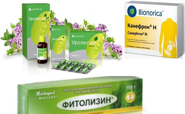 Почему при цистите болит спина