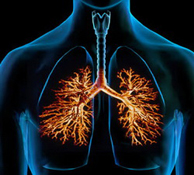 Наклоняю голову болит горло