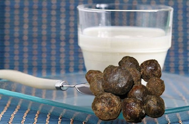 Почему при цистите болит спина